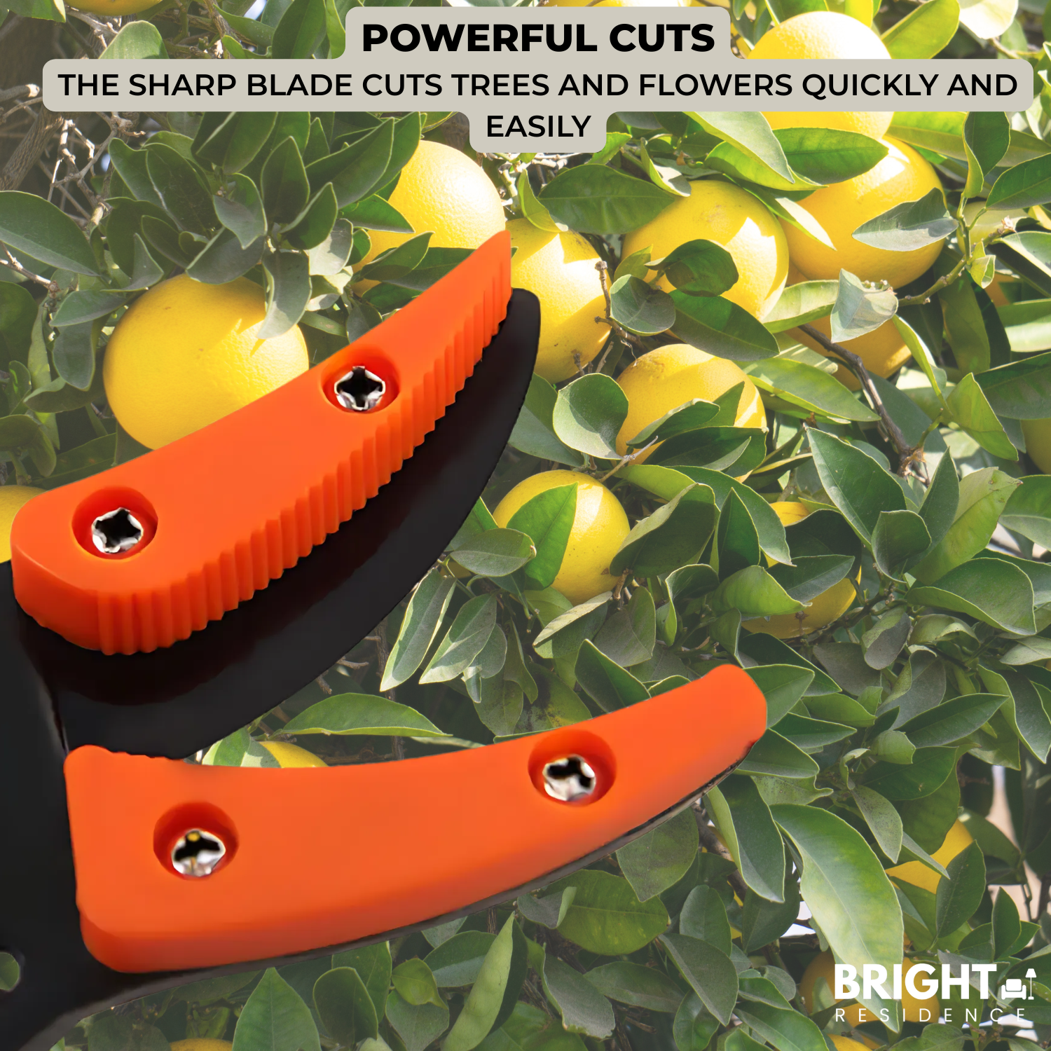 Hedge Shears | Trim High Hedges from the Ground | Adjustable Head | Bramble