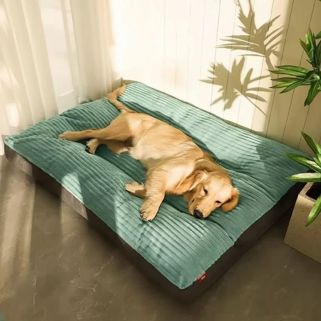 Dog Bed | Orthopedic Joint Support | Sizes M To XL | Oakley
