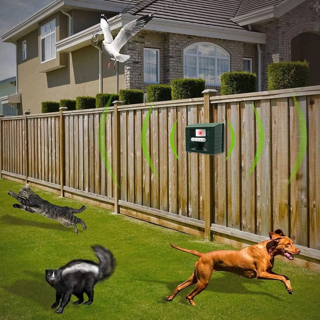 Bird Repeller | Weather-Resistant ABS | Battery or Solar Power | Roost