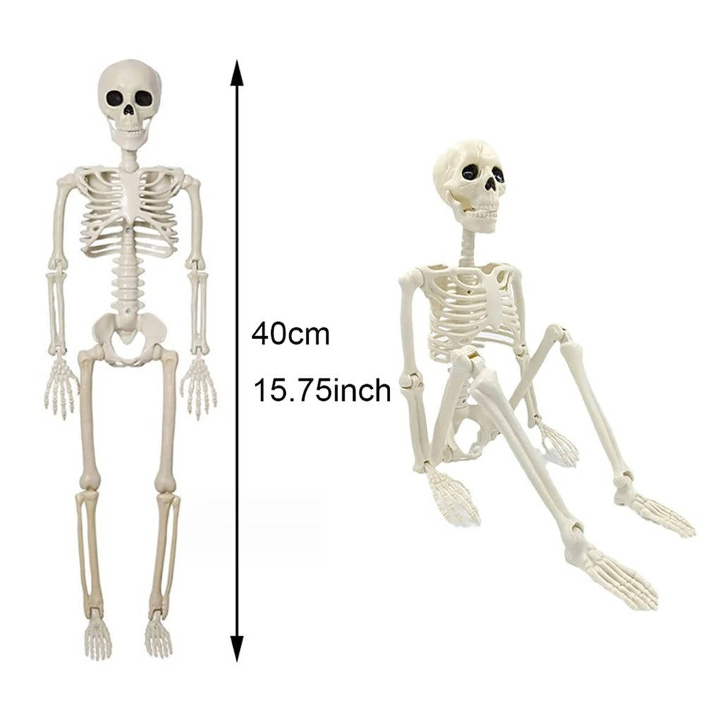 Hanging Skeleton Decoration | 15.7 in Tall | Posable Joints | Vale