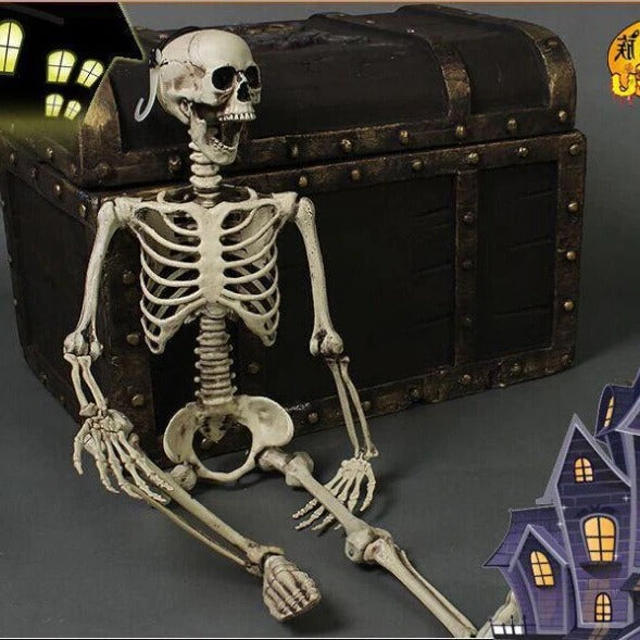 Halloween Skeleton | 67 in Tall | Poseable Indoor and Outdoor | Ridge