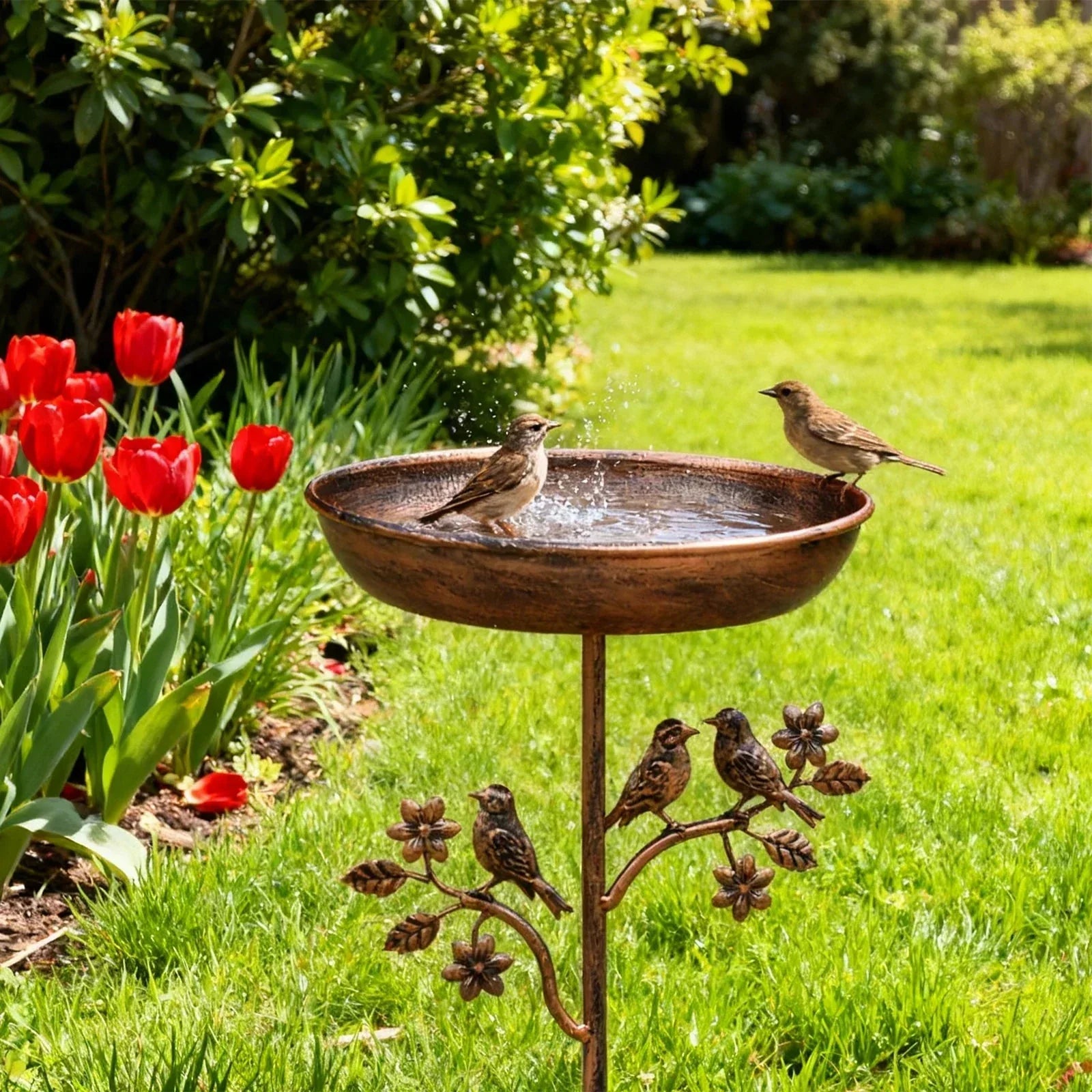 Garden & Outdoor