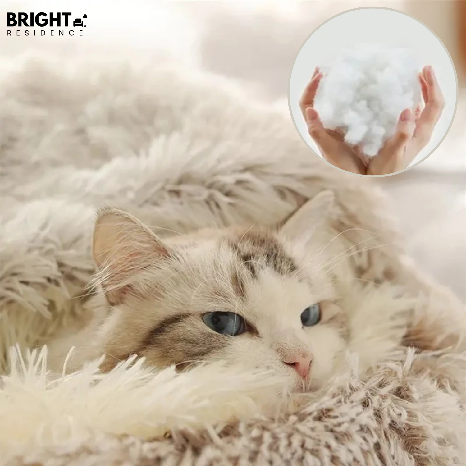 Pet Bed | Removable Machine Washable Cover | Two Sizes | Amber