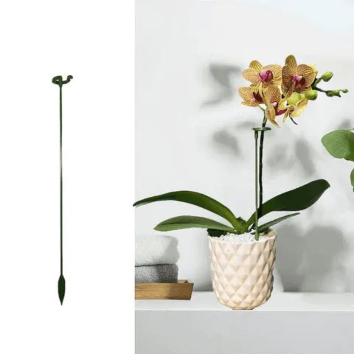 Grove Plant Support