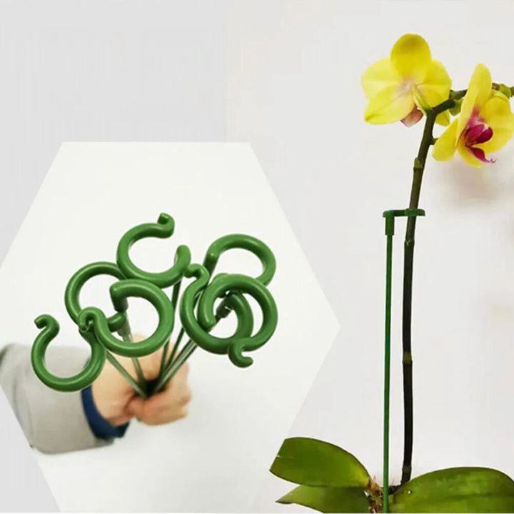Grove Plant Support