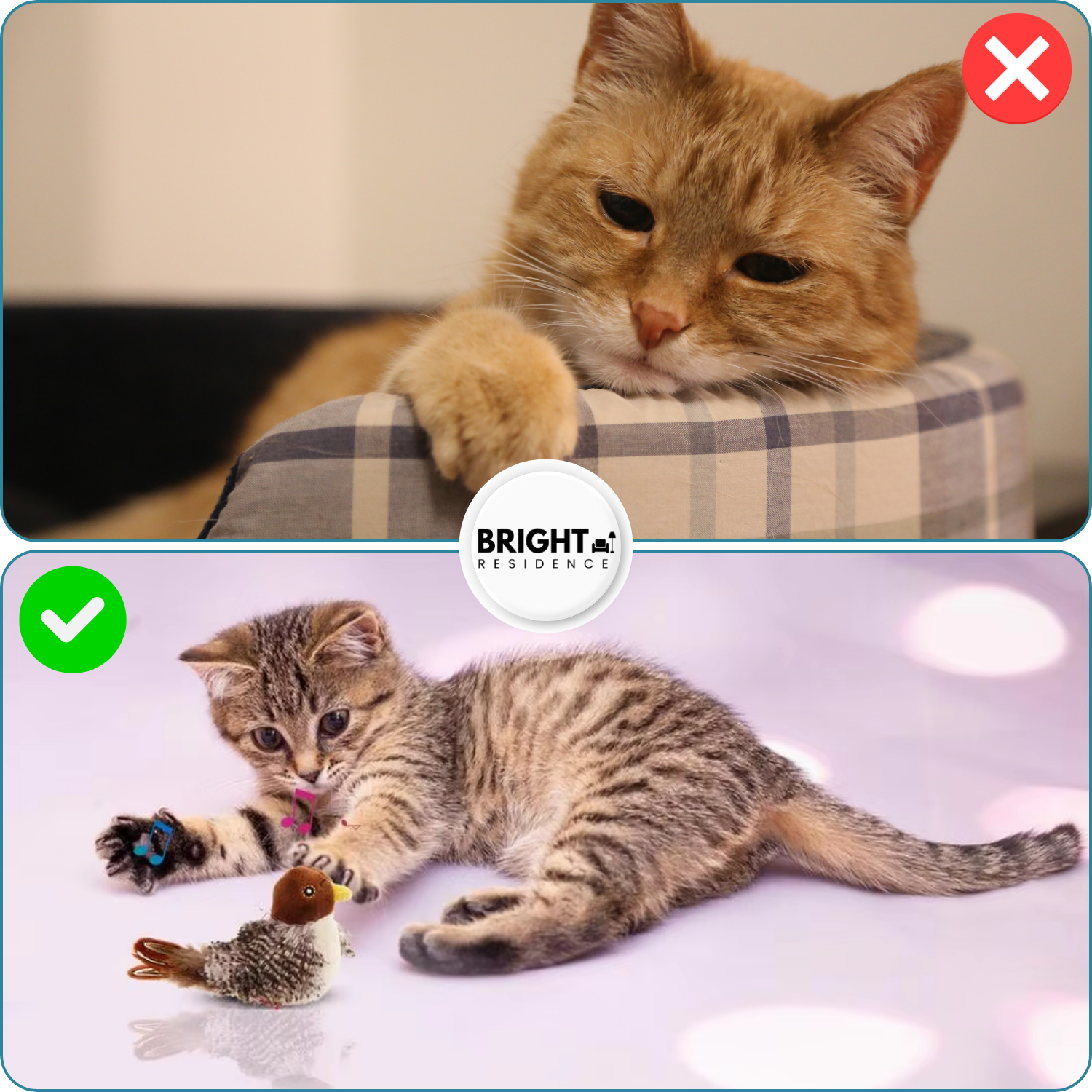 Cat Toy | Realistic Chirping Bird Sounds | Touch Activated | Aviary