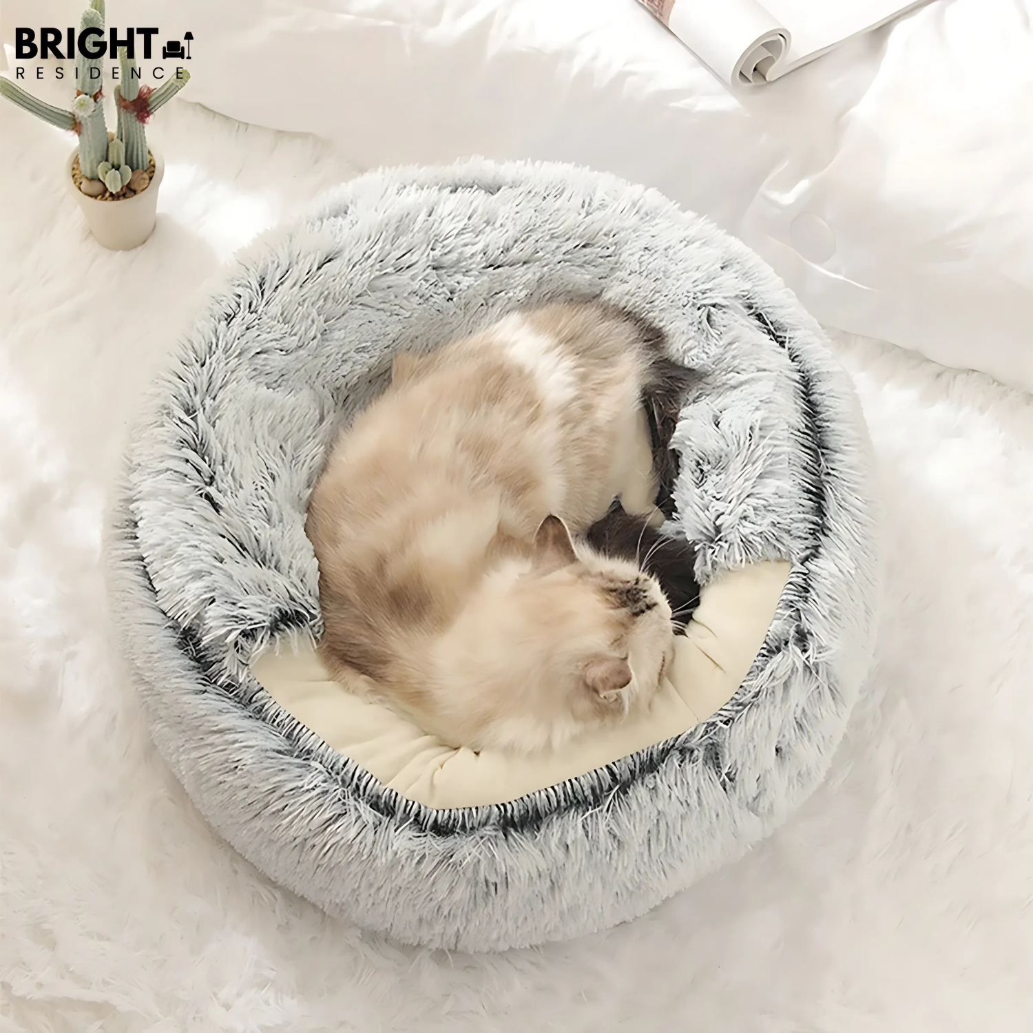 Pet Bed | Removable Machine Washable Cover | Two Sizes | Amber