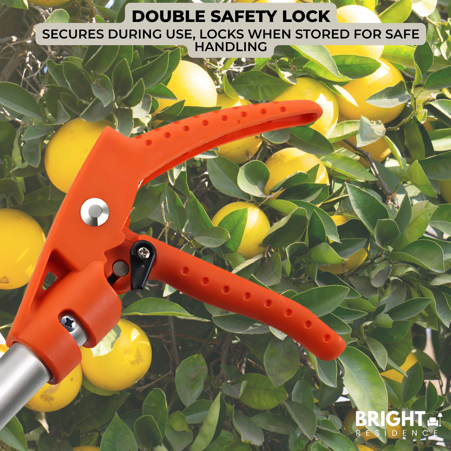 Hedge Shears | Trim High Hedges from the Ground | Adjustable Head | Bramble