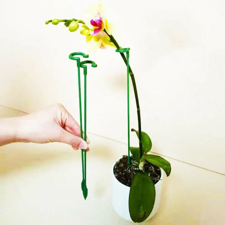 Grove Plant Support