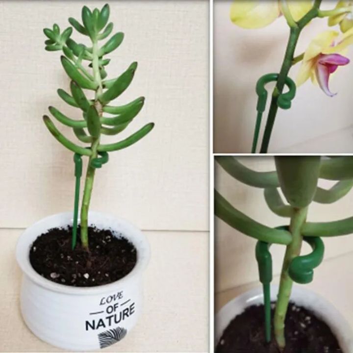 Grove Plant Support
