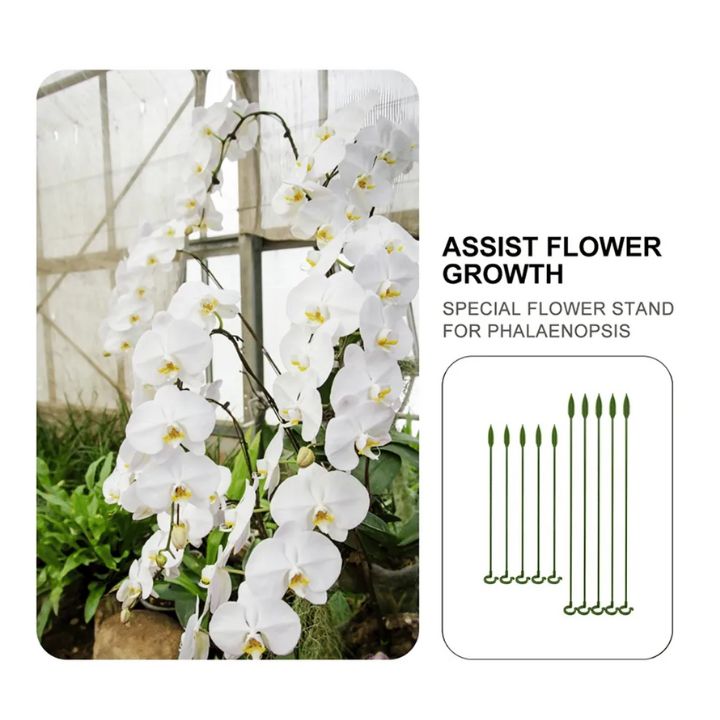 Grove Plant Support