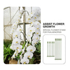 Grove Plant Support