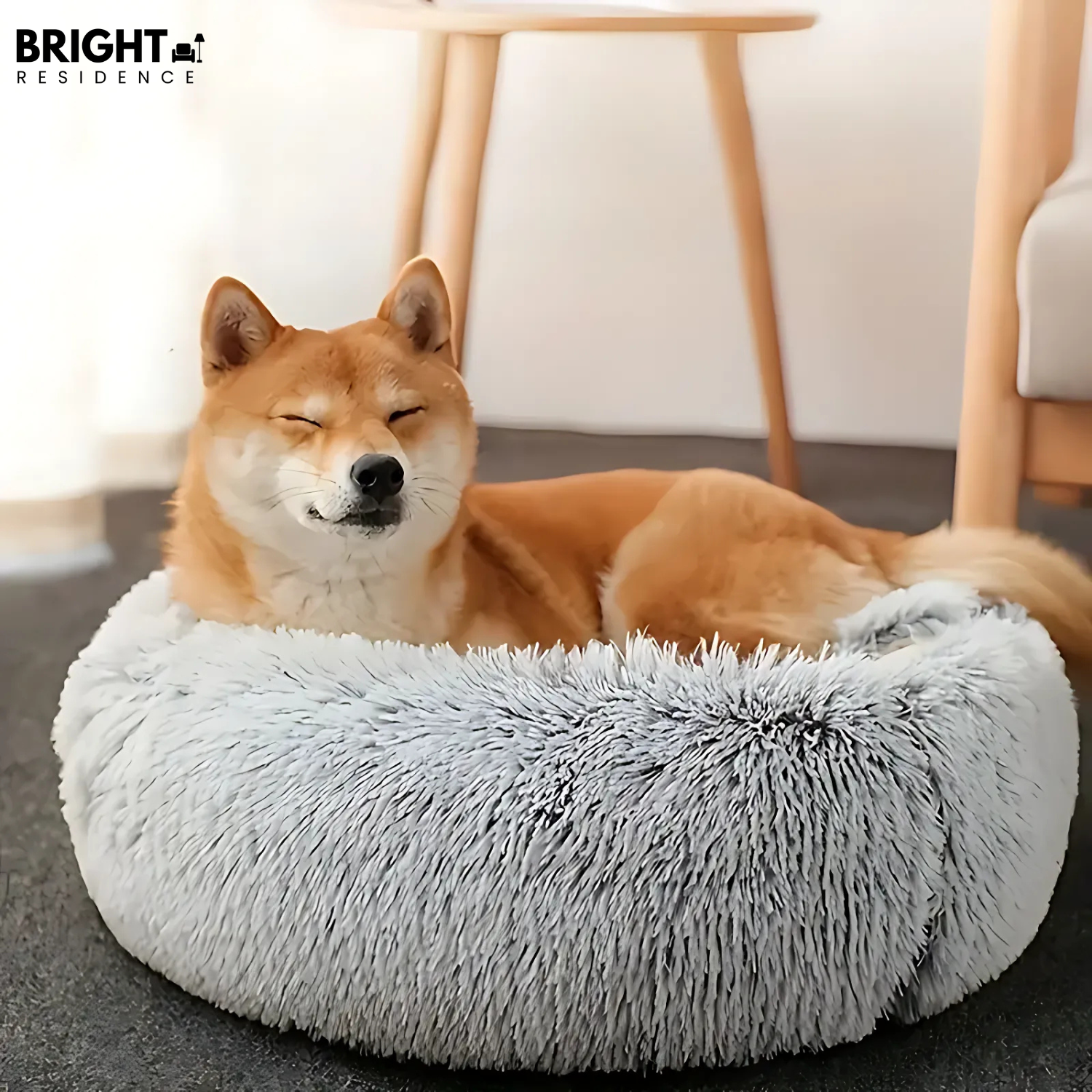 Pet Bed | Removable Machine Washable Cover | Two Sizes | Amber