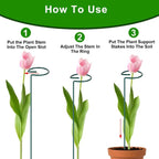 Grove Plant Support