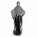 Hanging Skull & Spider Web Decoration (Indoor/Outdoor)