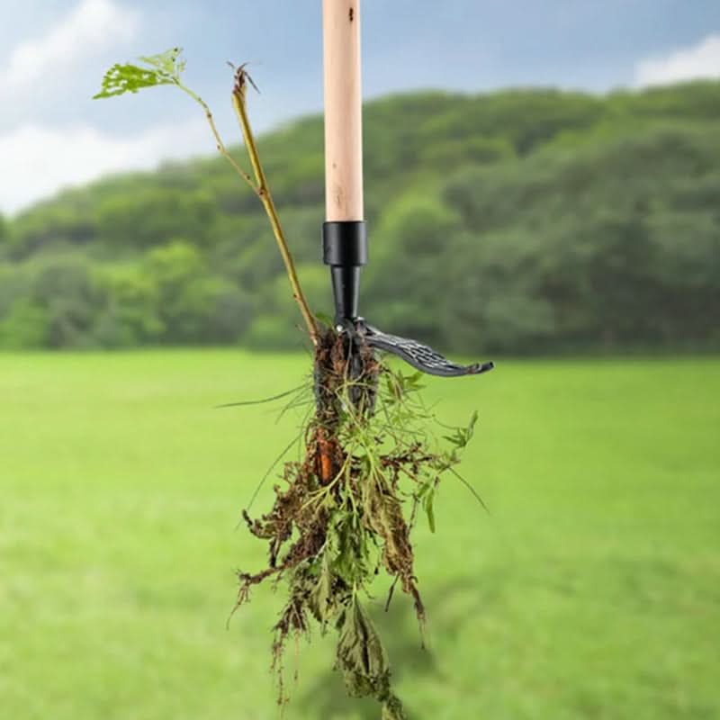 Weed Puller | Stand-Up, No Bending | Stainless Steel Root Grip | Orchard