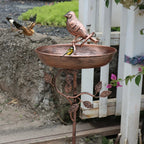 Garden Bird Bath | Decorative Bowl | Sturdy Stake | GardenShine