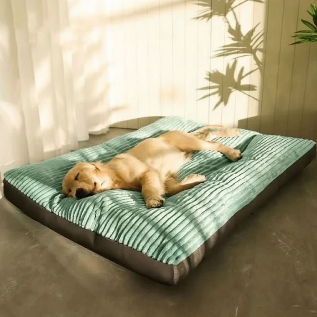 Dog Bed | Orthopedic Joint Support | Sizes M To XL | Oakley