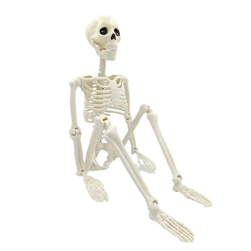 Hanging Skeleton Decoration | 15.7 in Tall | Posable Joints | Vale