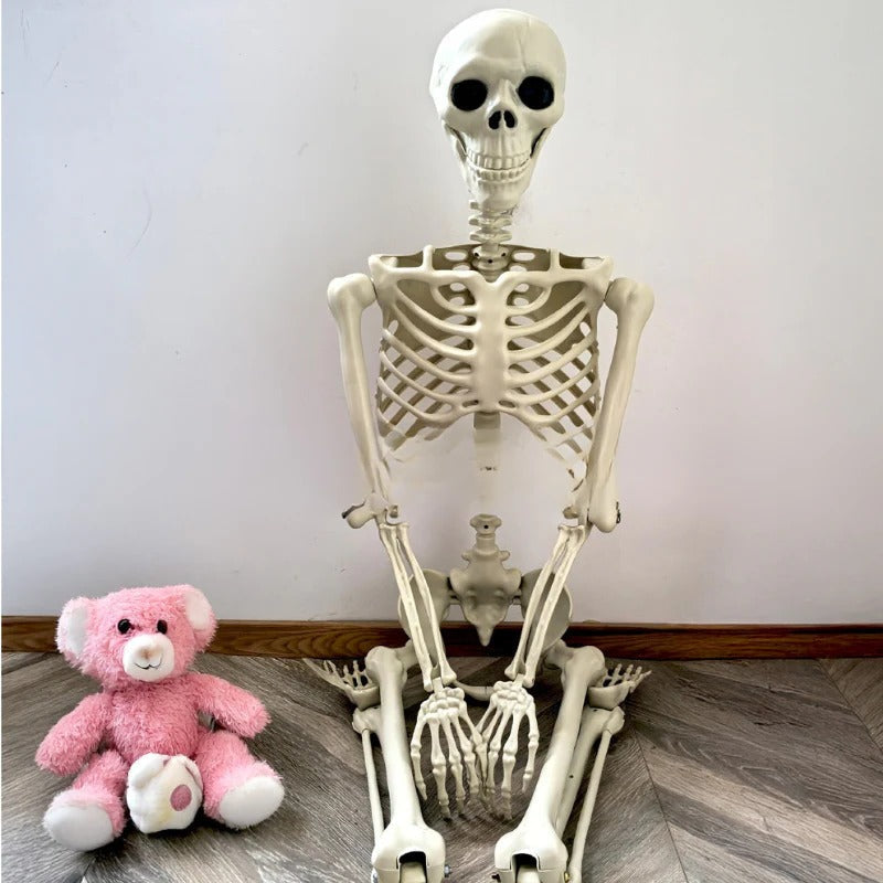 Halloween Skeleton | 67 in Tall | Poseable Indoor and Outdoor | Ridge