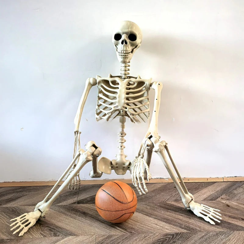 Halloween Skeleton | 67 in Tall | Poseable Indoor and Outdoor | Ridge